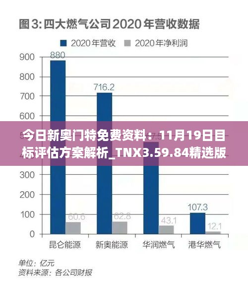 今日新奧門特免費資料：11月19日目標評估方案解析_TNX3.59.84精選版