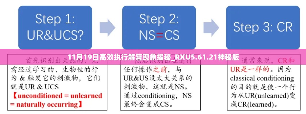 11月19日高效執(zhí)行解答現(xiàn)象揭秘_RXU5.61.21神秘版