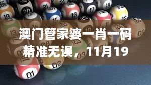 澳門管家婆一肖一碼精準無誤，11月19日即時響應(yīng)實施方案_QAJ6.15.29旅行者特別版