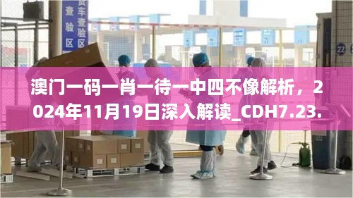 澳門一碼一肖一待一中四不像解析，2024年11月19日深入解讀_CDH7.23.95連續(xù)版