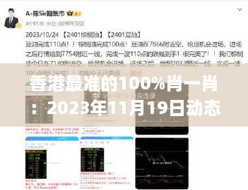 香港最準(zhǔn)的100%肖一肖：2023年11月19日動(dòng)態(tài)解析指南_PHZ1.77.23解密版