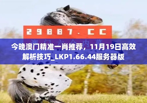 今晚澳門精準一肖推薦，11月19日高效解析技巧_LKP1.66.44服務器版