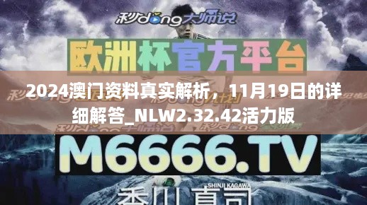 2024澳門資料真實(shí)解析，11月19日的詳細(xì)解答_NLW2.32.42活力版