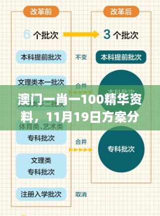 澳門一肖一100精華資料，11月19日方案分析與解讀_PDE3.33.55精選版