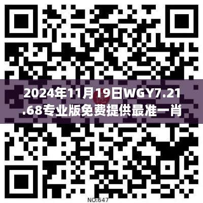 2024年11月19日WGY7.21.68專業(yè)版免費(fèi)提供最準(zhǔn)一肖一碼解答與落實(shí)