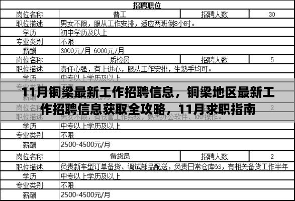 銅梁地區(qū)最新招聘全攻略，求職指南與招聘信息獲取指南（11月版）