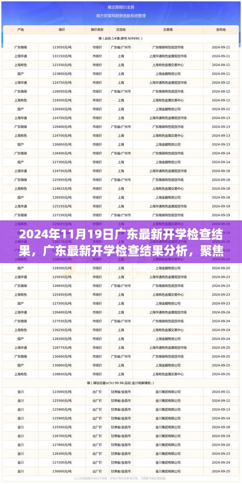 廣東最新開學(xué)檢查結(jié)果分析與觀察思考，聚焦2024年11月19日報(bào)告