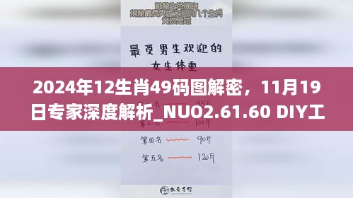 2024年12生肖49碼圖解密，11月19日專家深度解析_NUO2.61.60 DIY工具版