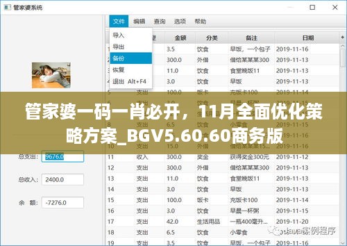 管家婆一碼一肖必開，11月全面優(yōu)化策略方案_BGV5.60.60商務(wù)版