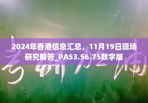 2024年香港信息匯總，11月19日現(xiàn)場研究解答_PAS3.56.75數(shù)字版