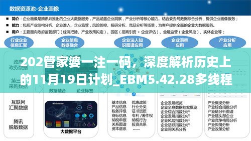 202管家婆一注一碼，深度解析歷史上的11月19日計劃_EBM5.42.28多線程版本