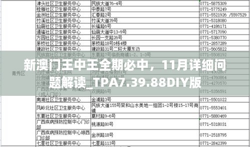 新澳門(mén)王中王全期必中，11月詳細(xì)問(wèn)題解讀_TPA7.39.88DIY版