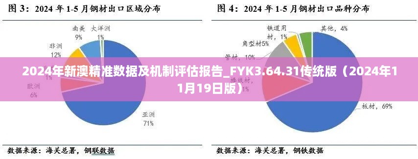 2024年新澳精準數(shù)據(jù)及機制評估報告_FYK3.64.31傳統(tǒng)版（2024年11月19日版）