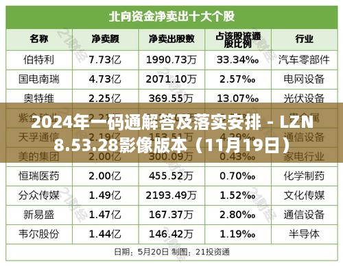 2024年一碼通解答及落實安排 - LZN8.53.28影像版本（11月19日）