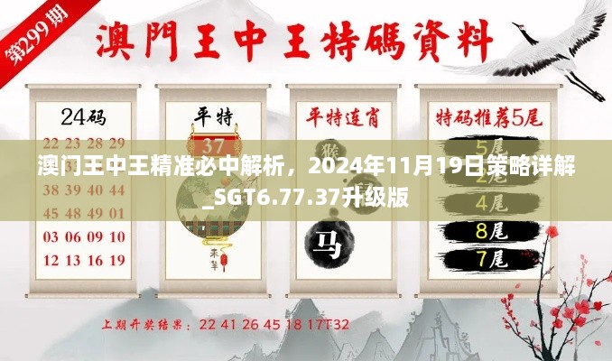 澳門王中王精準(zhǔn)必中解析，2024年11月19日策略詳解_SGT6.77.37升級(jí)版