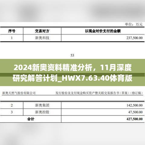 2024新奧資料精準(zhǔn)分析，11月深度研究解答計(jì)劃_HWX7.63.40體育版