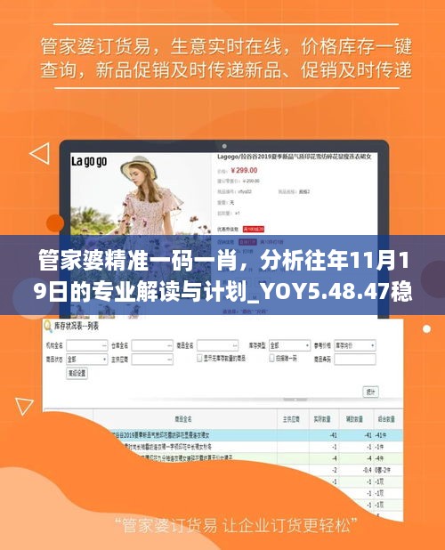 管家婆精準(zhǔn)一碼一肖，分析往年11月19日的專業(yè)解讀與計(jì)劃_YOY5.48.47穩(wěn)定版