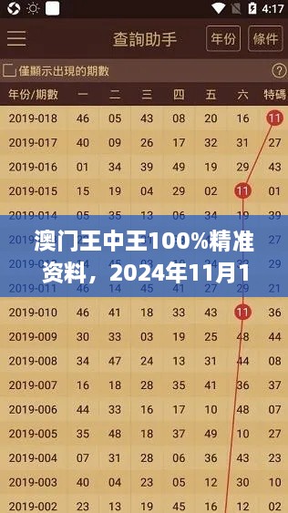 澳門(mén)王中王100%精準(zhǔn)資料，2024年11月19日可視化管理方案_RNM1.66.77私密版