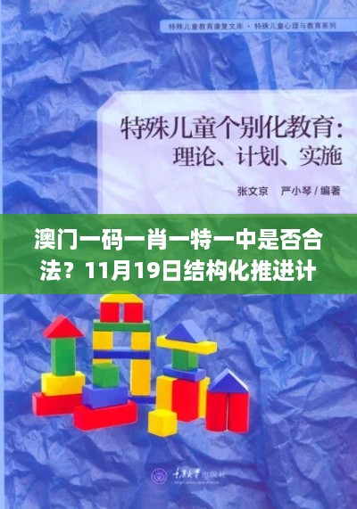 澳門一碼一肖一特一中是否合法？11月19日結(jié)構(gòu)化推進(jìn)計(jì)劃評估_JHZ7.37.43極速版