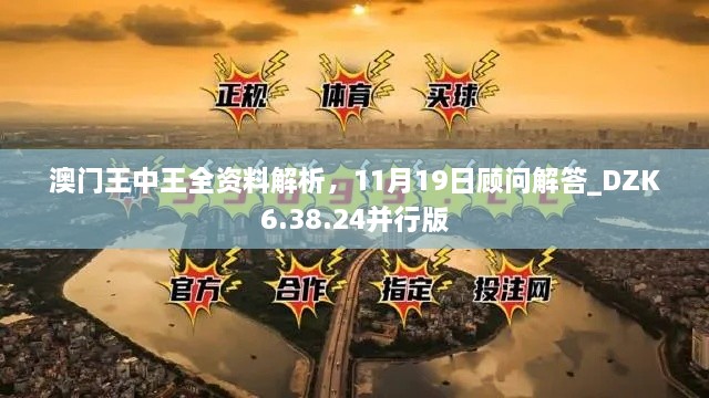 澳門王中王全資料解析，11月19日顧問解答_DZK6.38.24并行版