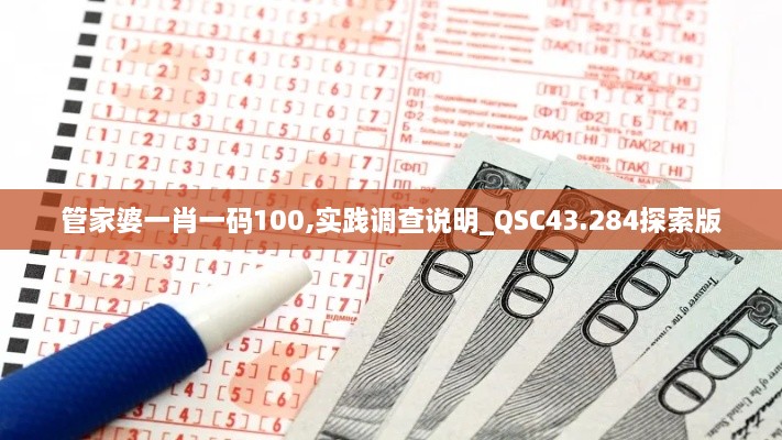 管家婆一肖一碼100,實(shí)踐調(diào)查說(shuō)明_QSC43.284探索版