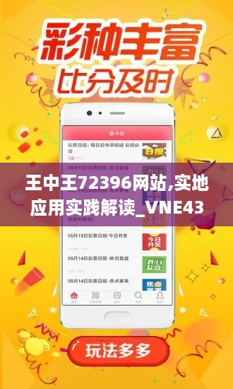 王中王72396網(wǎng)站,實地應用實踐解讀_VNE43.457性能版