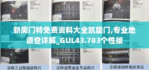 新奧門特免費(fèi)資料大全凱旋門,專業(yè)地調(diào)查詳解_GUL43.783個(gè)性版