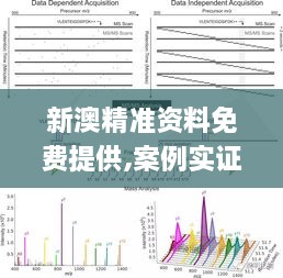 新澳精準(zhǔn)資料免費(fèi)提供,案例實(shí)證分析_VOS43.915開放版