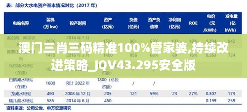 澳門(mén)三肖三碼精準(zhǔn)100%管家婆,持續(xù)改進(jìn)策略_JQV43.295安全版