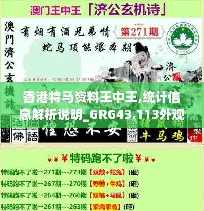 香港特馬資料王中王,統(tǒng)計(jì)信息解析說明_GRG43.113外觀版