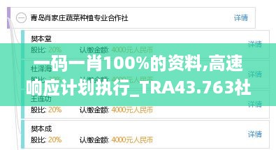 一碼一肖100%的資料,高速響應計劃執(zhí)行_TRA43.763社區(qū)版