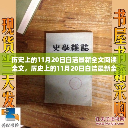 歷史上的11月20日白潔最新全文閱讀，產品評測與介紹全解析