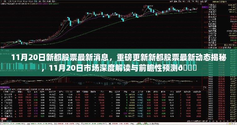 11月20日新都股票最新動態(tài)與市場深度解讀，前瞻性預(yù)測揭秘??