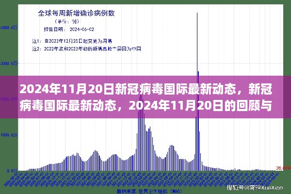 新冠病毒國際最新動態(tài)，2024年11月20日的回顧與影響分析