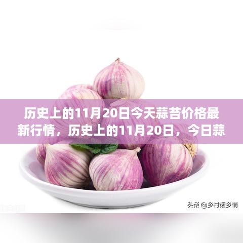 歷史上的11月20日，今日蒜苔價(jià)格與自然美景之旅，探尋內(nèi)心寧靜與平和的旅程