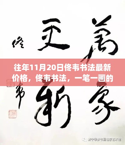 佟韋書(shū)法，價(jià)格、成長(zhǎng)與力量的見(jiàn)證，一筆一畫(huà)展現(xiàn)自信與變化的力量