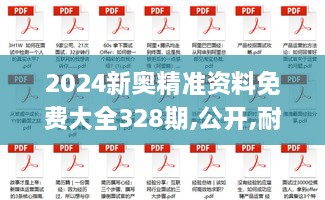 2024新奧精準(zhǔn)資料免費(fèi)大全328期,公開(kāi),耐心落實(shí)解釋解答_JNO9.11