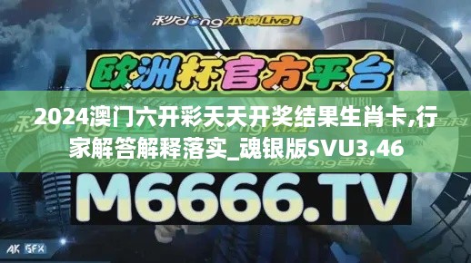 2024澳門六開彩天天開獎結果生肖卡,行家解答解釋落實_魂銀版SVU3.46