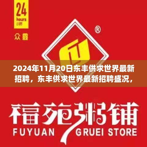 2024年11月20日東豐供求世界招聘盛況，行業(yè)變革與職業(yè)機遇的聚焦