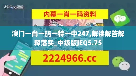 澳門一肖一碼一特一中247,解讀解答解釋落實_中級版JEQ5.75