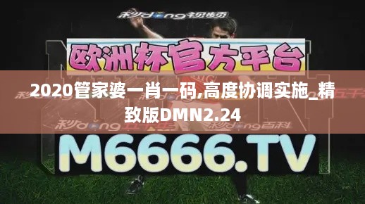 2020管家婆一肖一碼,高度協(xié)調(diào)實施_精致版DMN2.24