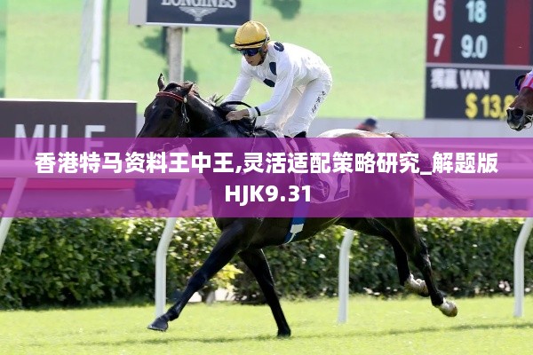 香港特馬資料王中王,靈活適配策略研究_解題版HJK9.31