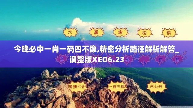 今晚必中一肖一碼四不像,精密分析路徑解析解答_調(diào)整版XEO6.23