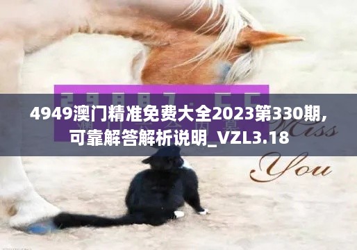 4949澳門精準(zhǔn)免費大全2023第330期,可靠解答解析說明_VZL3.18