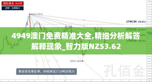 4949澳門免費精準大全,精細分析解答解釋現象_智力版NZS3.62