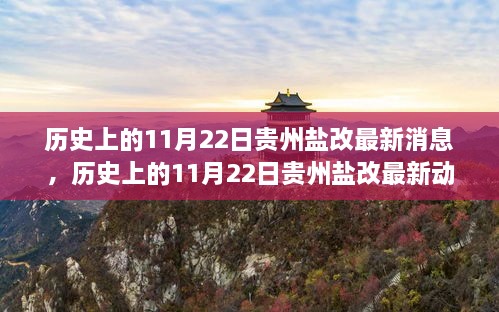 揭秘貴州鹽改最新動(dòng)態(tài)，歷史上的11月22日最新消息揭秘