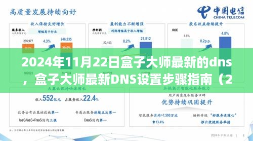 2024年11月22日盒子大師最新的dns，盒子大師最新DNS設(shè)置步驟指南（2024年11月版）