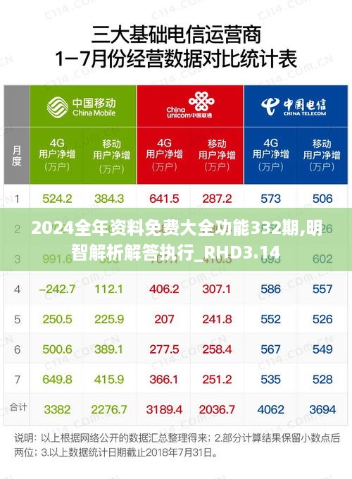 2024全年資料免費大全功能332期,明智解析解答執(zhí)行_RHD3.14