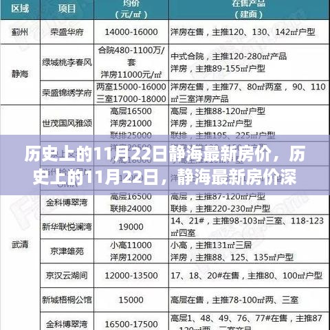 歷史上的11月22日靜海最新房價，歷史上的11月22日，靜海最新房價深度解析