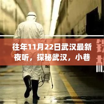 探秘武漢夜聽盛宴，小巷深處的獨特體驗之旅（11月22日）